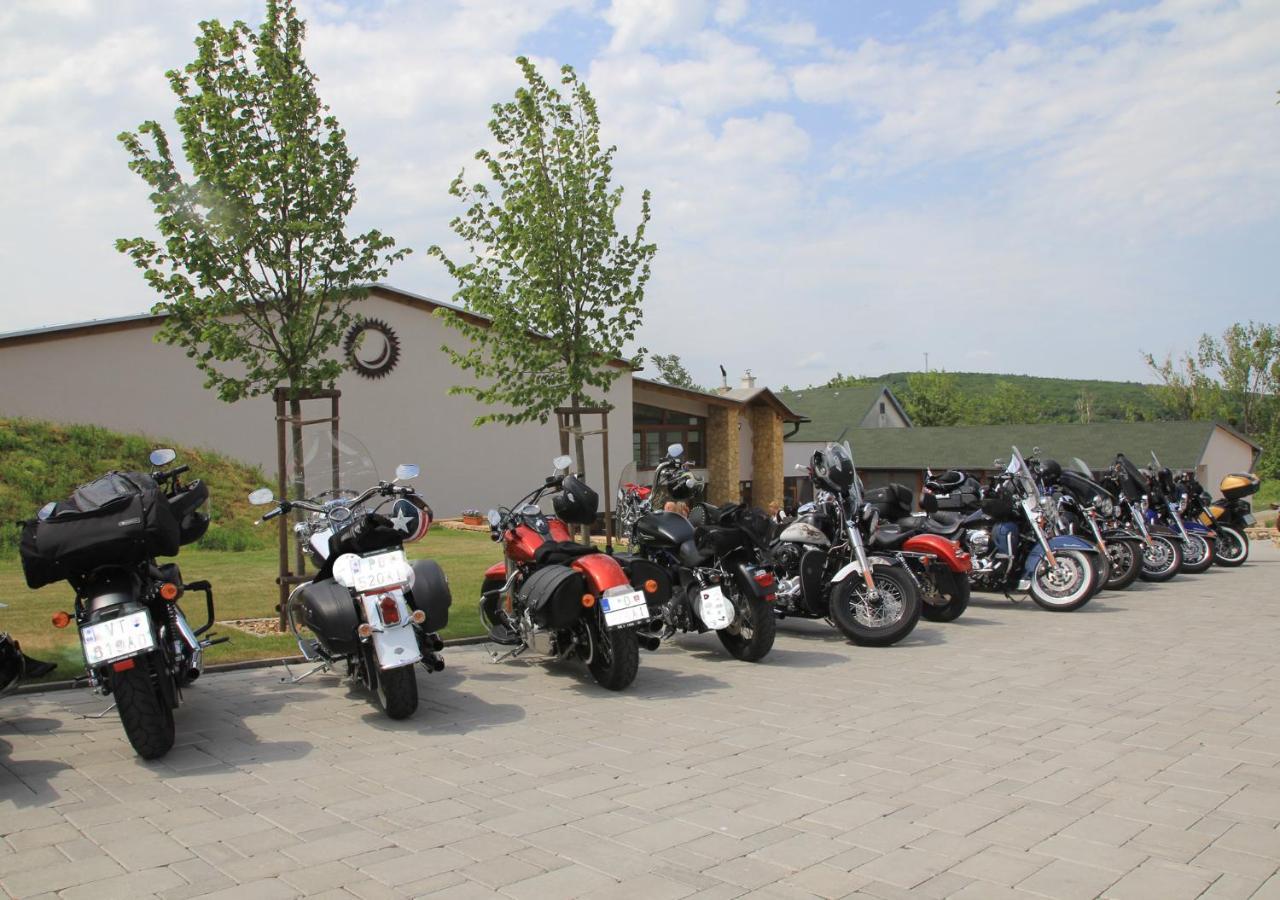 Penzion Tokaj Macik Winery B&B Mala Trna Экстерьер фото