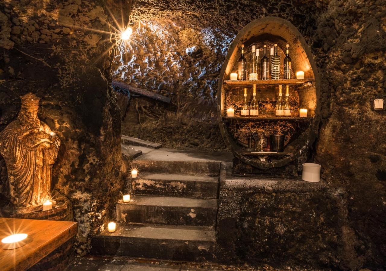 Penzion Tokaj Macik Winery B&B Mala Trna Экстерьер фото