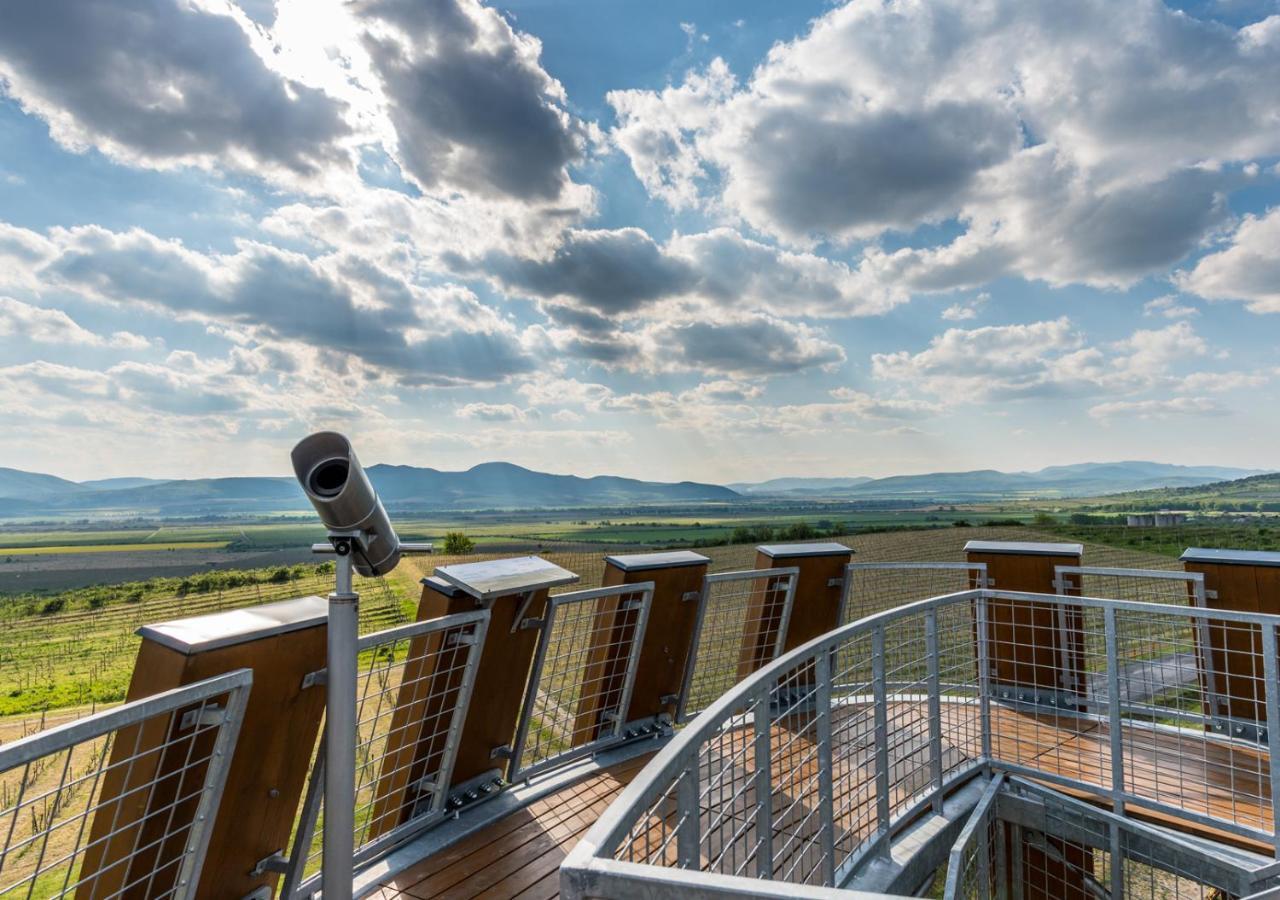 Penzion Tokaj Macik Winery B&B Mala Trna Экстерьер фото