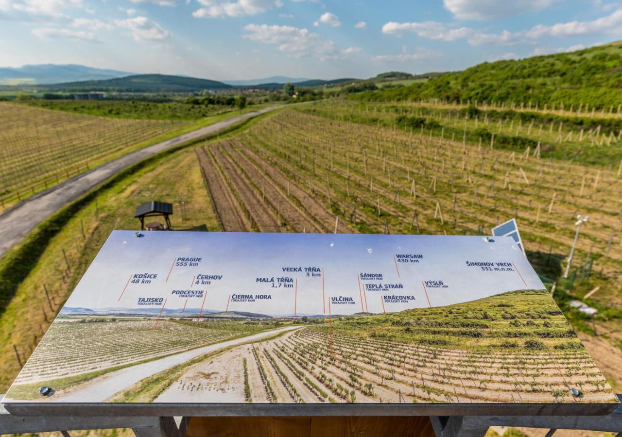 Penzion Tokaj Macik Winery B&B Mala Trna Экстерьер фото