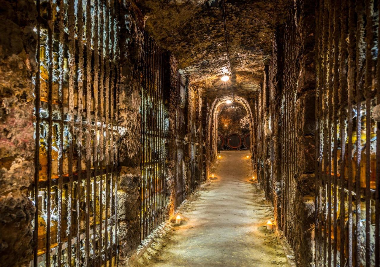 Penzion Tokaj Macik Winery B&B Mala Trna Экстерьер фото